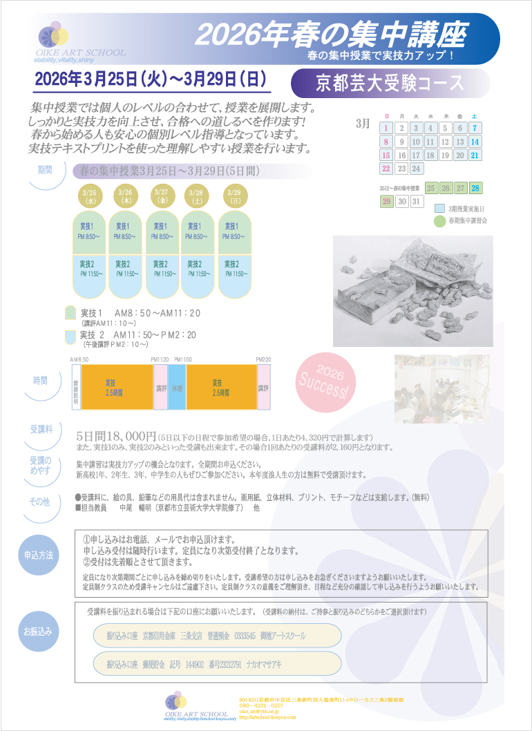 案内要項（表面）